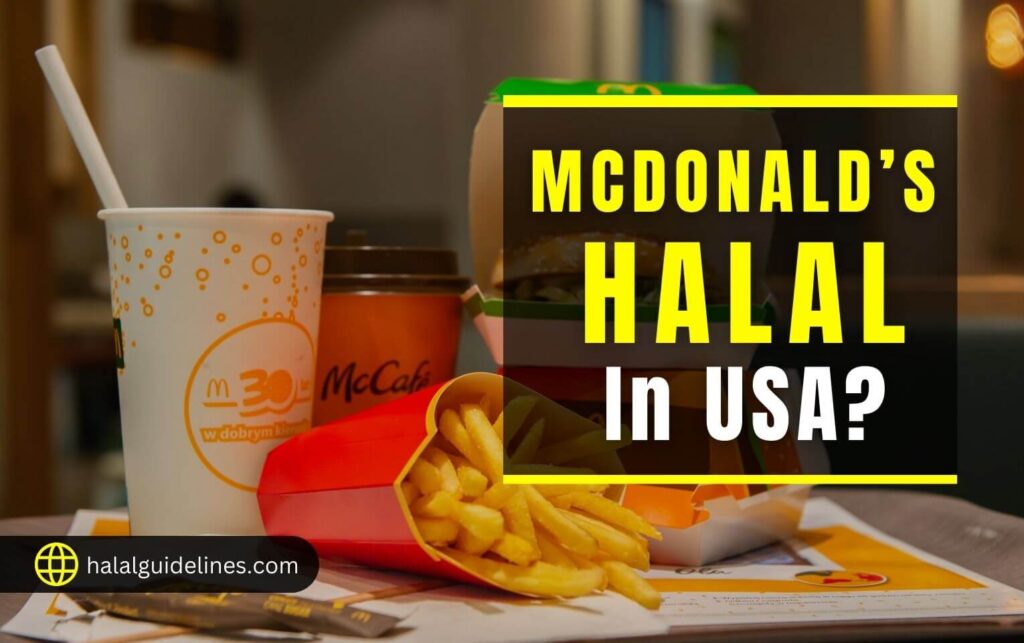 Is Mcdonald's Halal in USA? (Find Your Answer 2024) Halal Guidelines