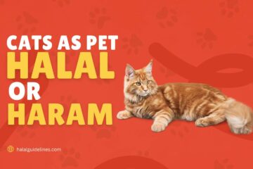Are Cats Haram Or Halal As A Pet In Islam