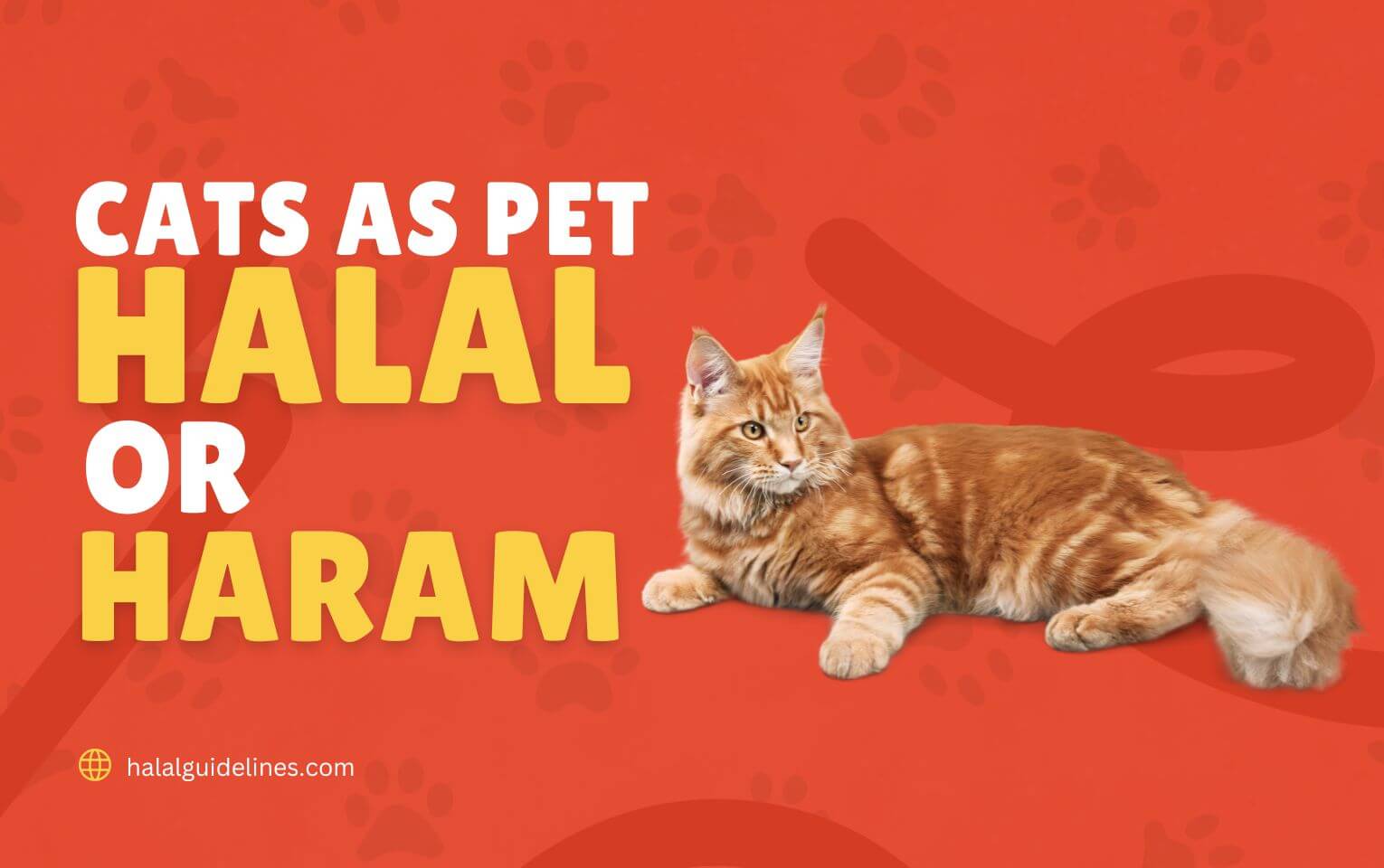 Are Cats Haram or Halal as a Pet in Islam? Complete Guide 2025 - Halal ...