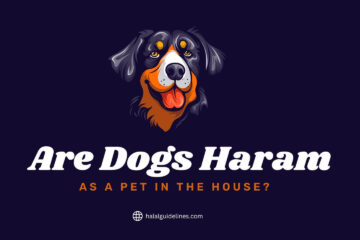 Are Dogs Haram As A Pet