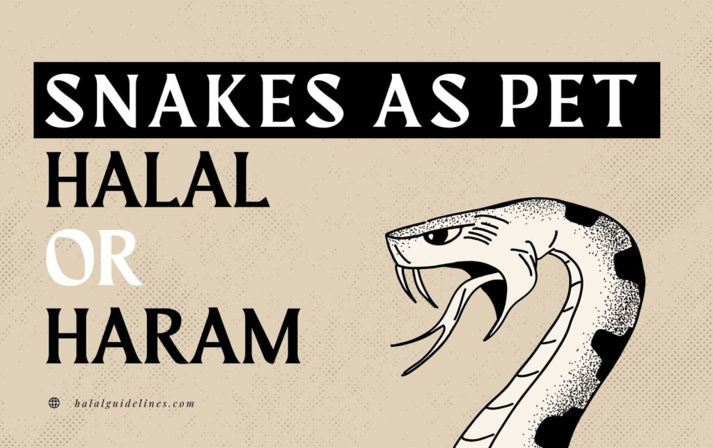 Are Snakes Haram Or Halal to Keep as Pets in Islam? Clear Answer ...