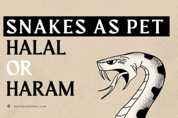 Are Snakes Haram Or Halal To Keep As Pets In Islam
