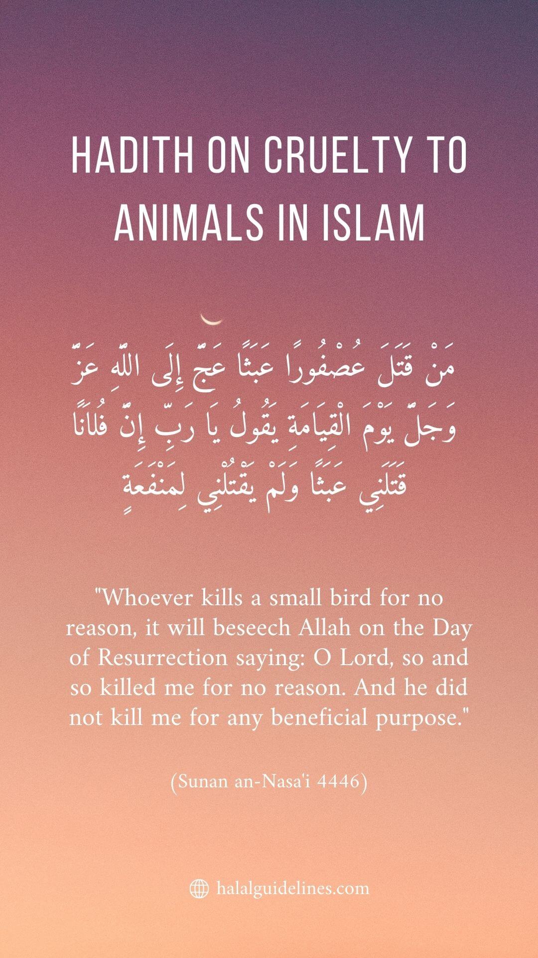 Hadith About Cruelty To Animals As Pet Like Rabbit Or Bird In Islam