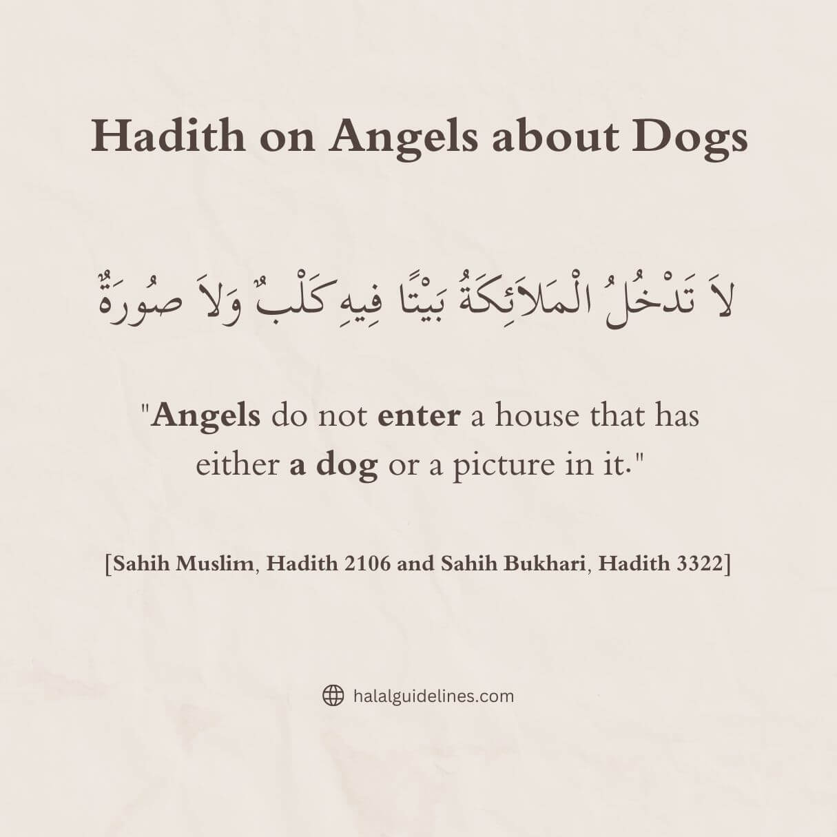 Hadith On Angels Not Enter House If You Have Dogs