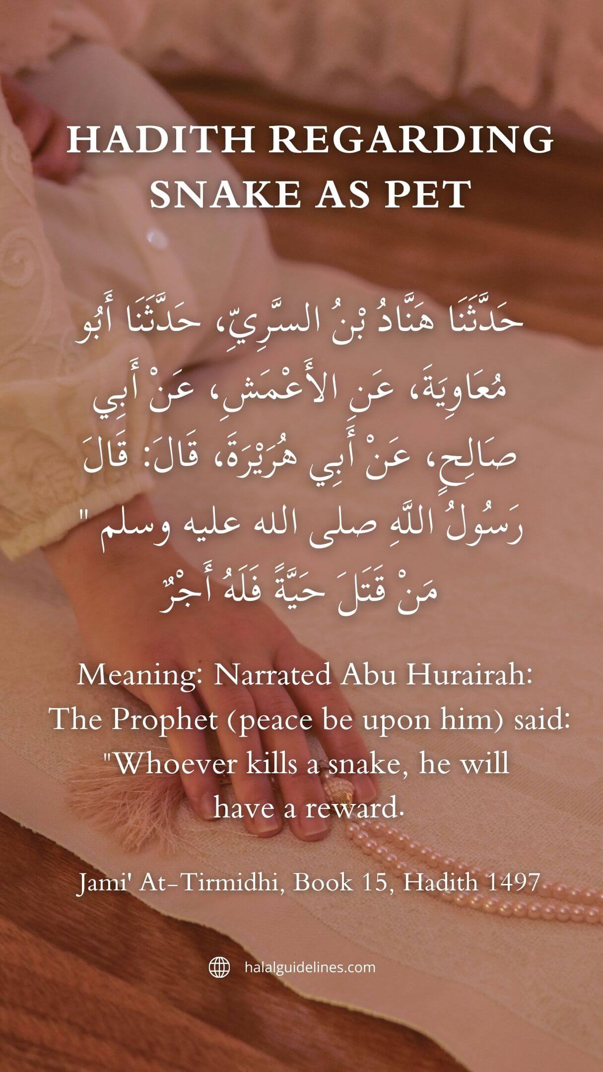 Hadith Regarding Snake As Pet