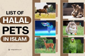 List Of Halal Pets According To Islam