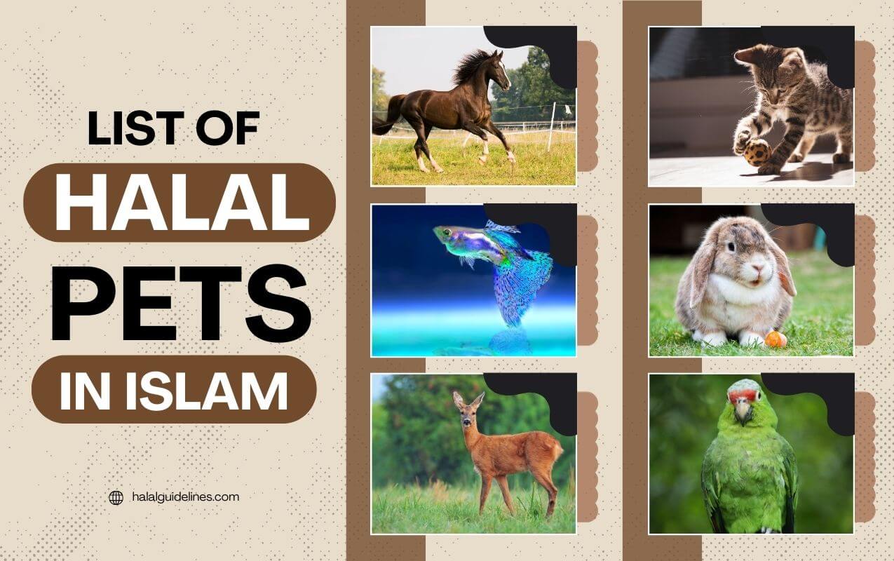 List Of Halal Pets According To Islam