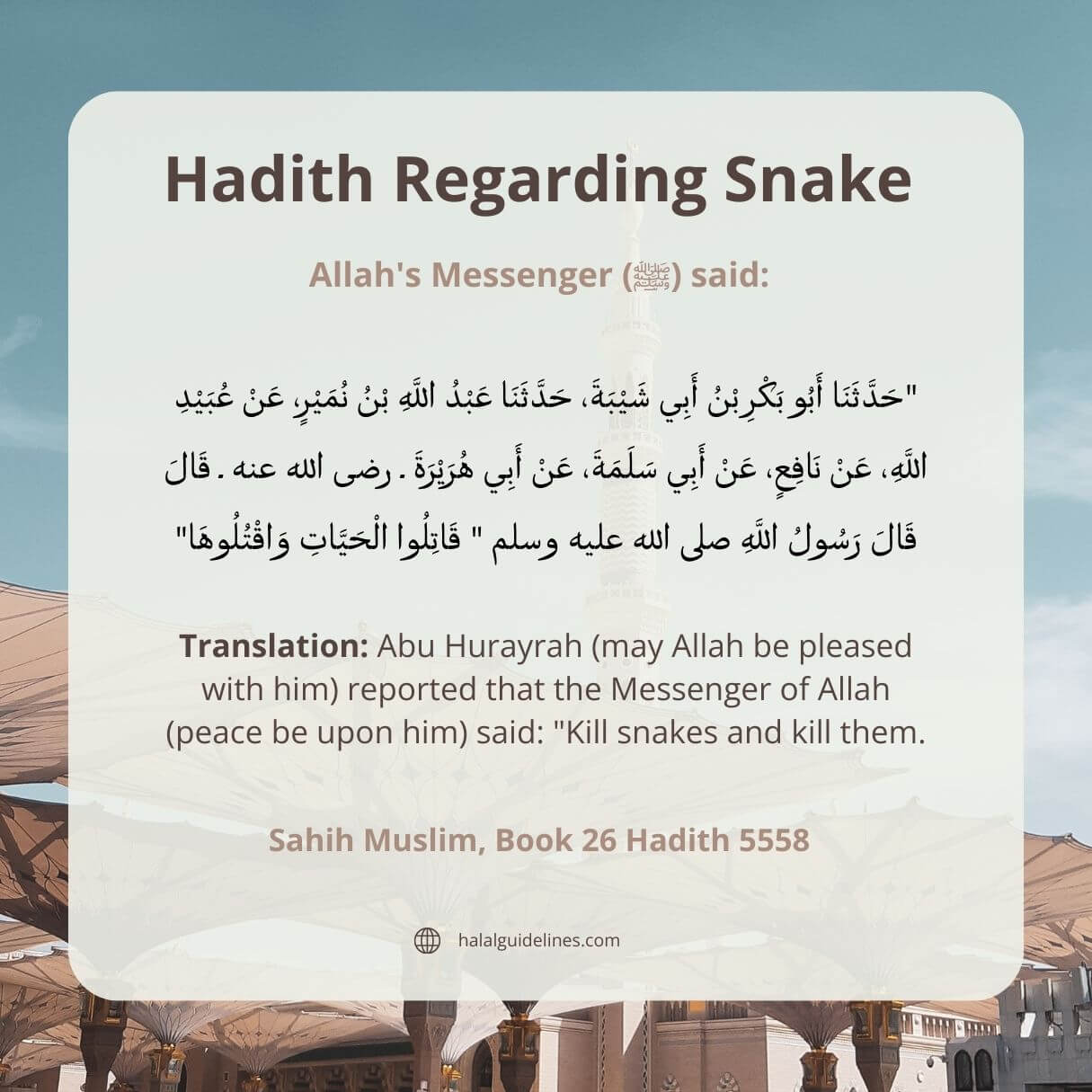Prophet Muhammad (S.A.W) Hadith Regarding Snake
