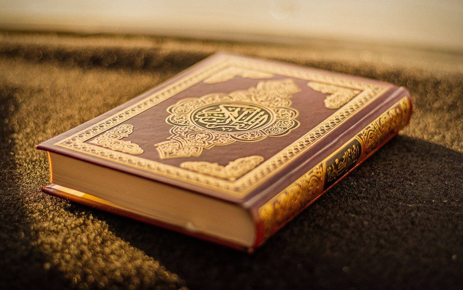 Quran And Hadith Guidance In Which Condition Dogs Are Accepted