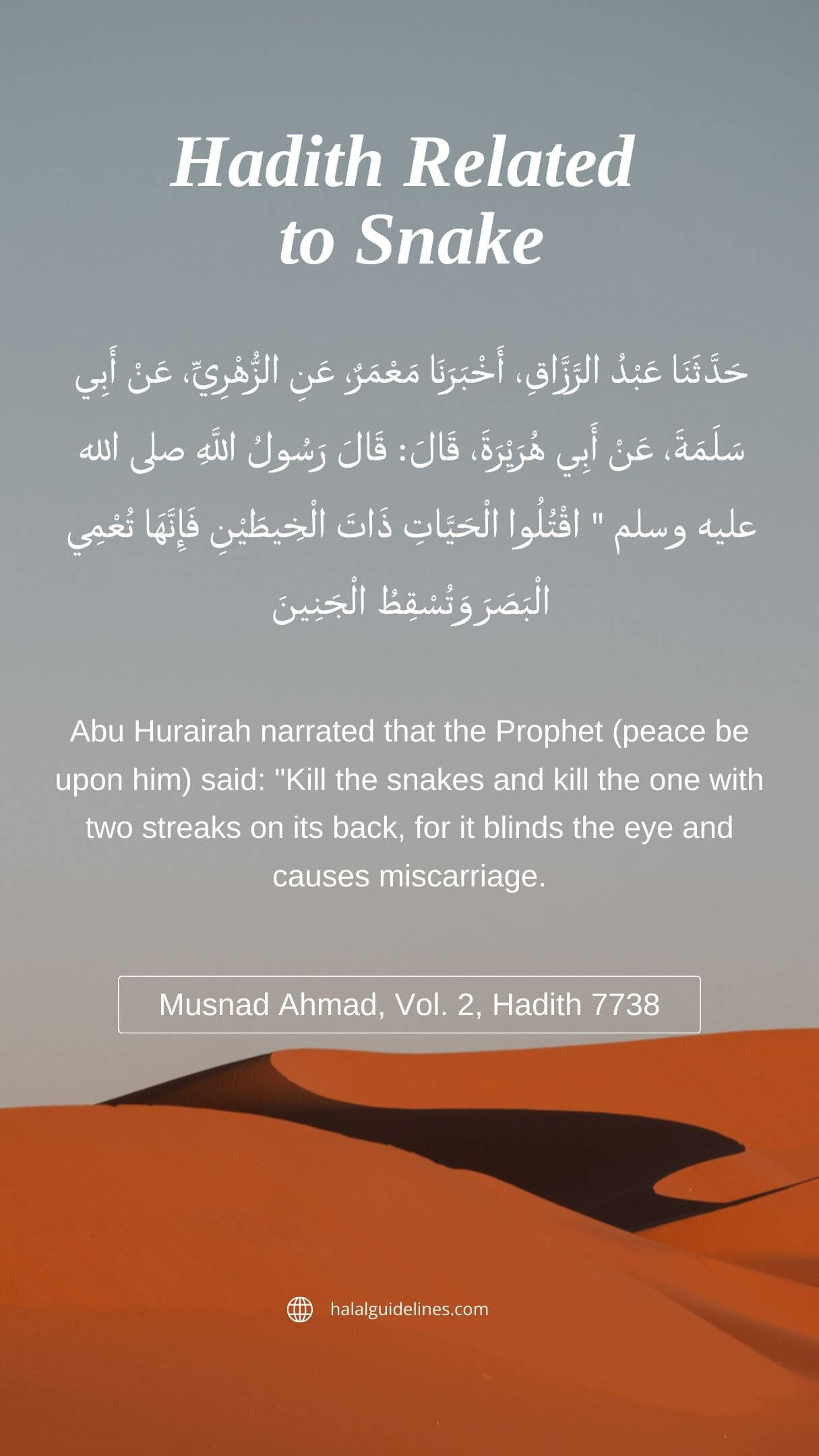 Hadith Related To Snakes In Islam