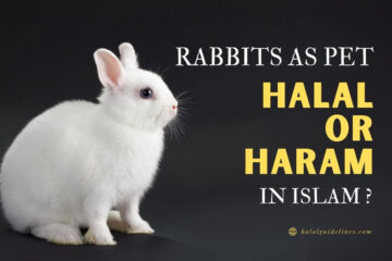 Is It Halal Or Haram To Keep Rabbit As Pet In The House