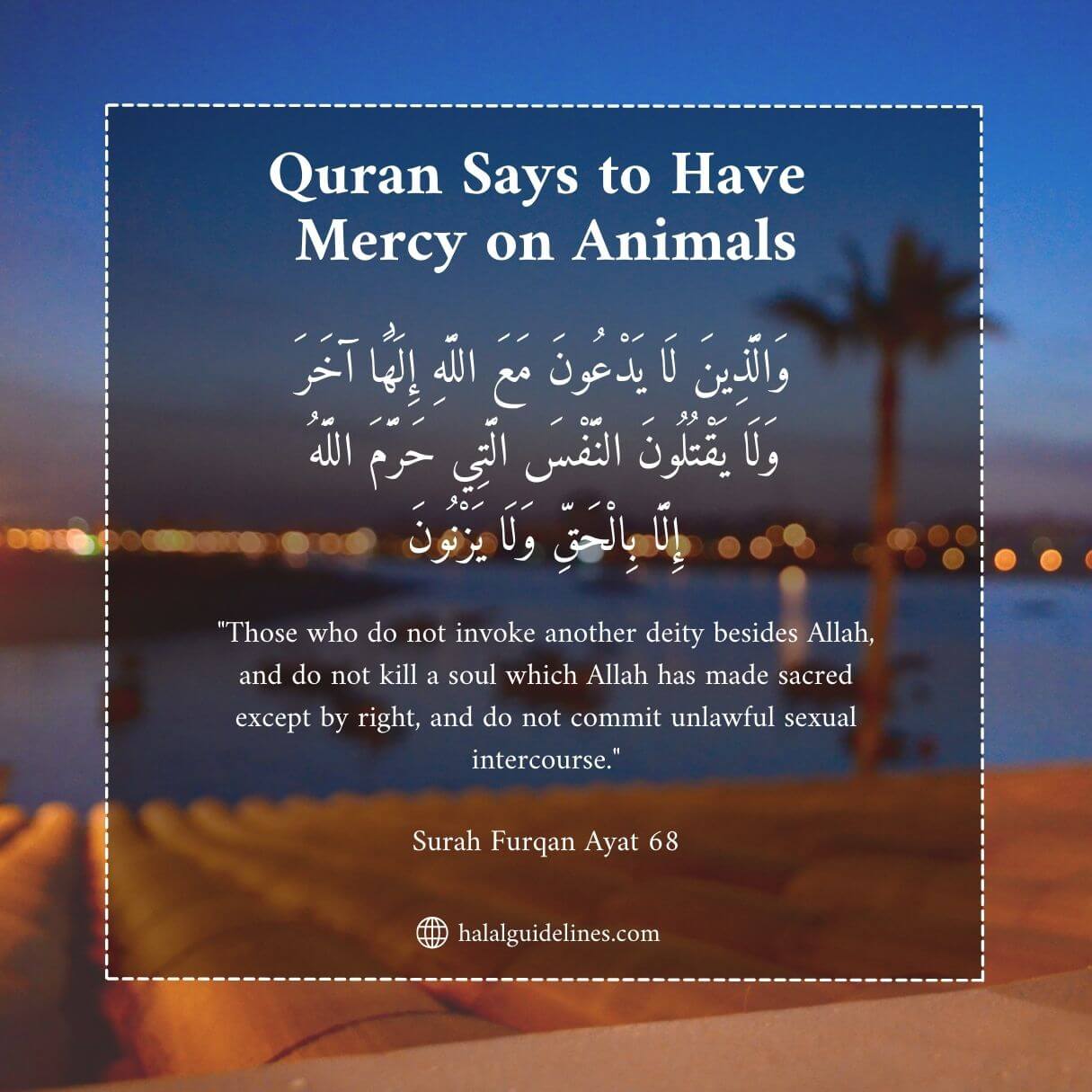 Quran Verse On Have Mercy On Animals And Allah Creation