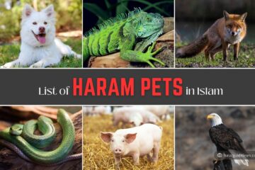 Haram Pets List In Islam
