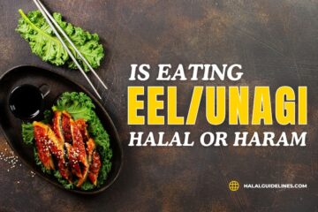 Is Eel Halal Or Haram In Islam