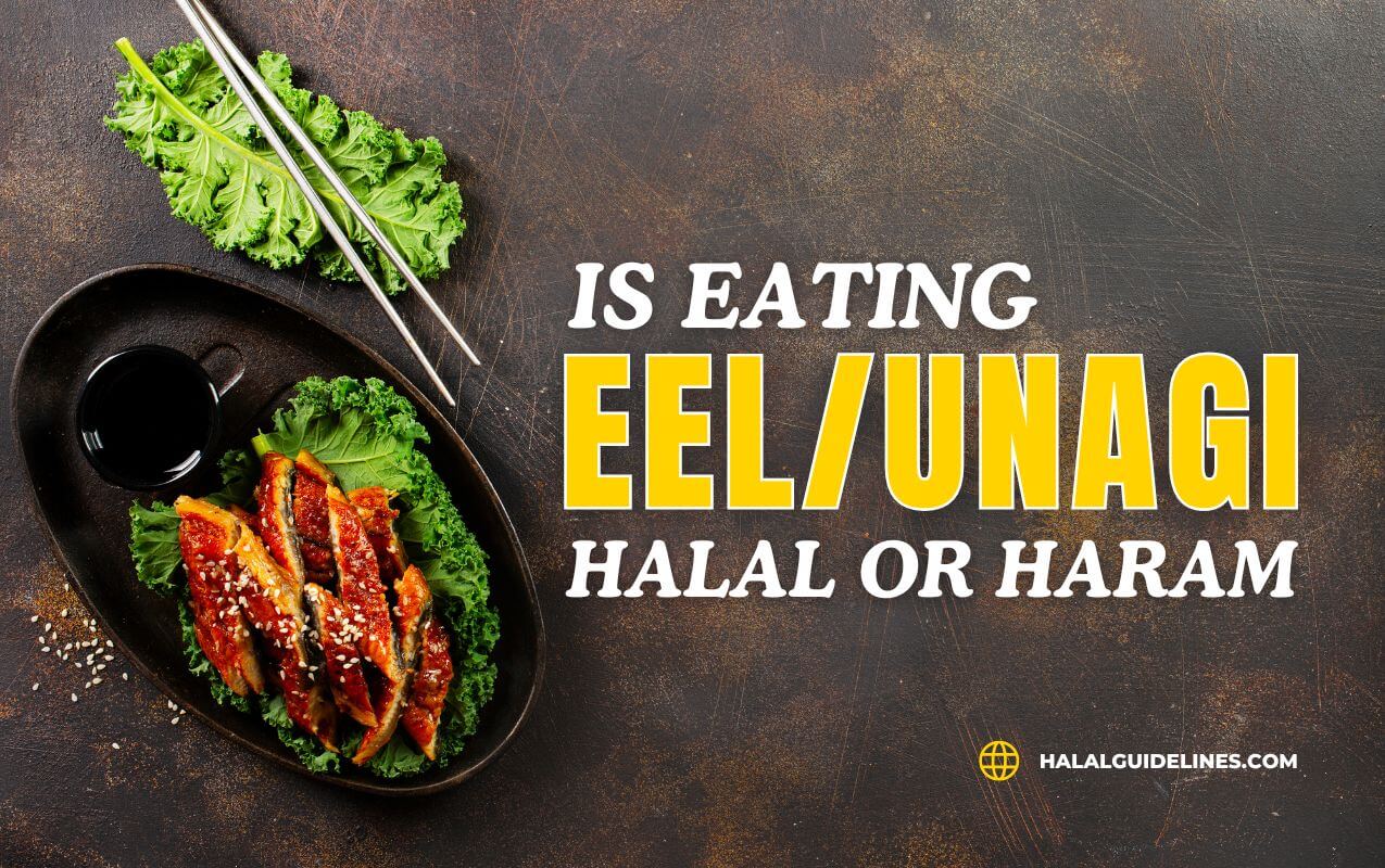 Is Eel Halal Or Haram In Islam