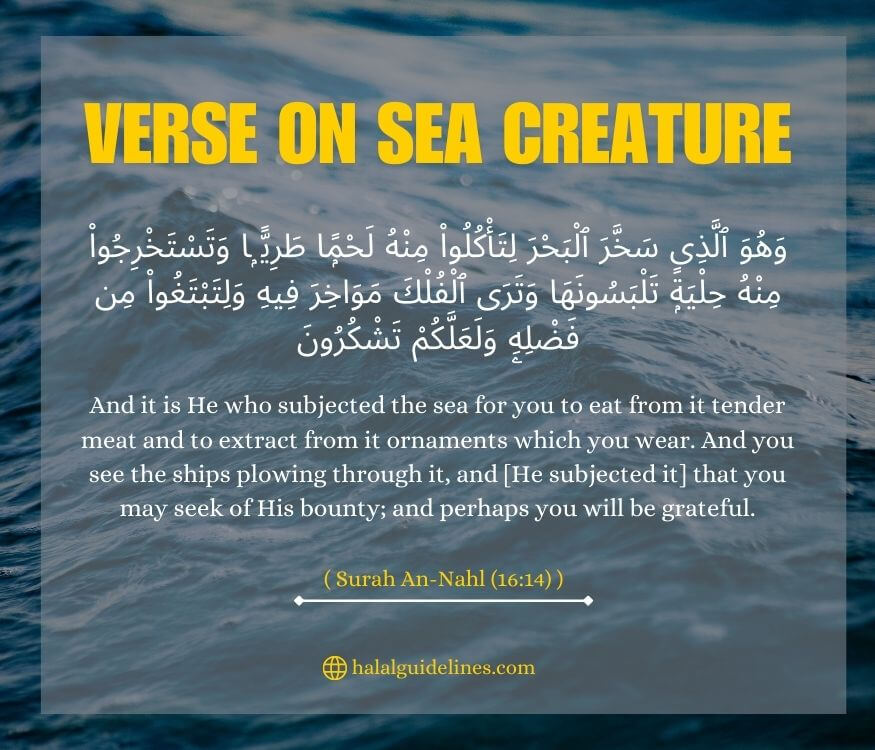 Quran Verse On Eating Sea Creature Like Eel Or Unagi