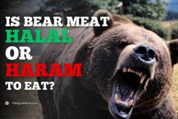 Is Eating Bear Meat Halal Or Haram