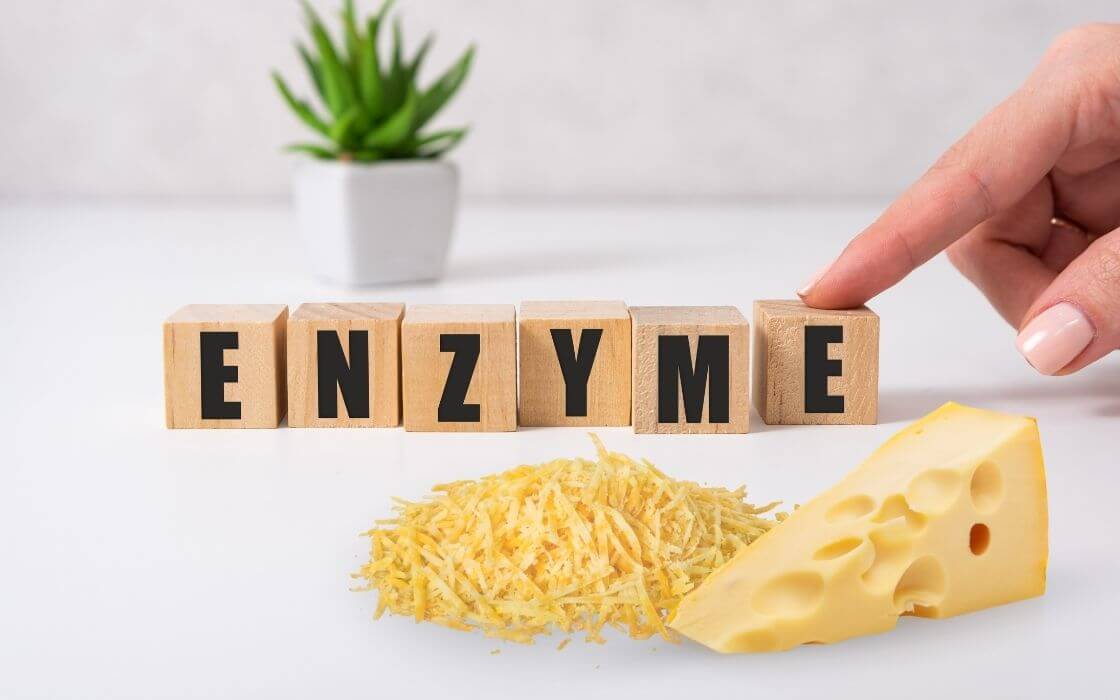 cheetos haram because animals Enzymes in Cheese