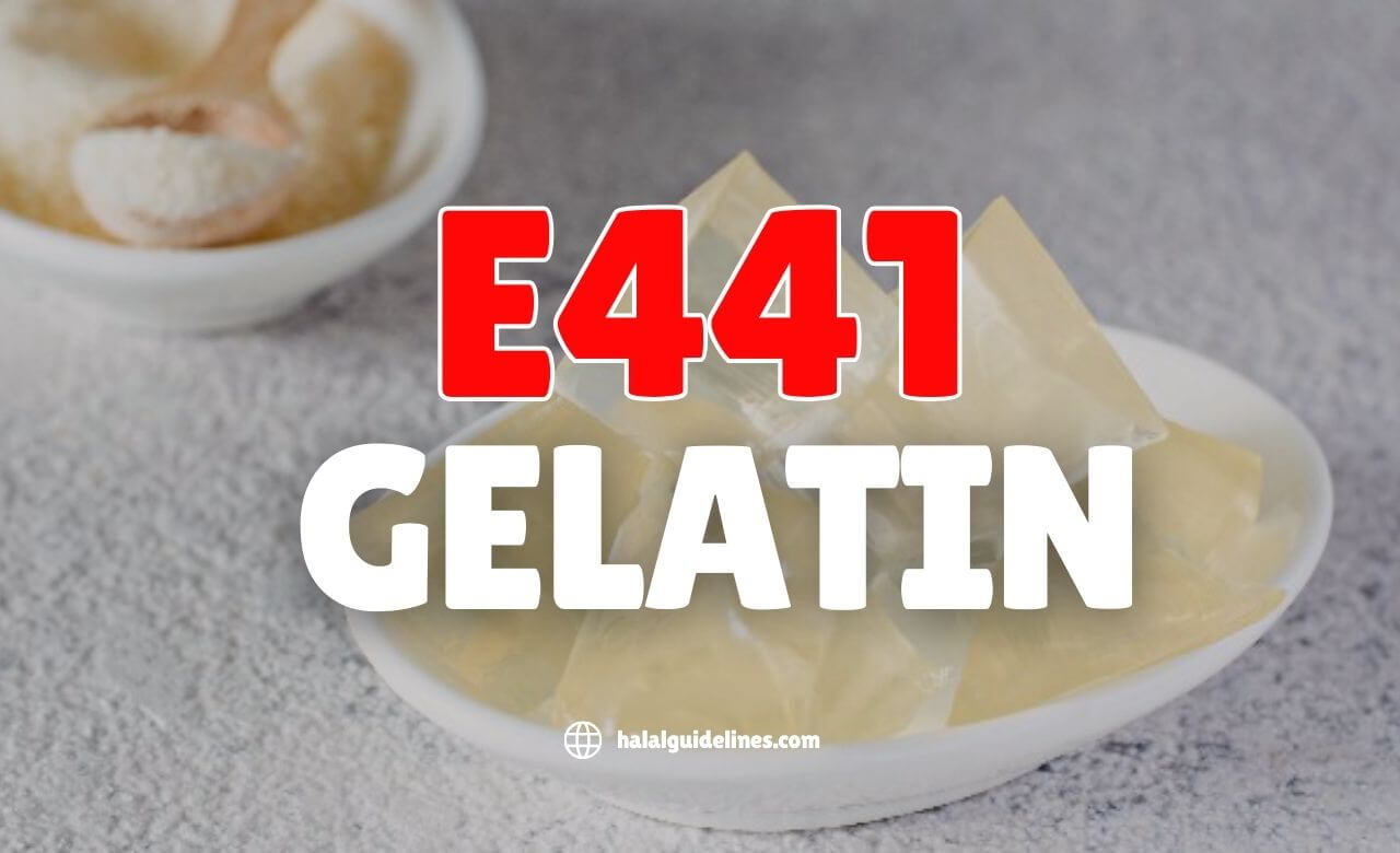E441, Gelatin haram