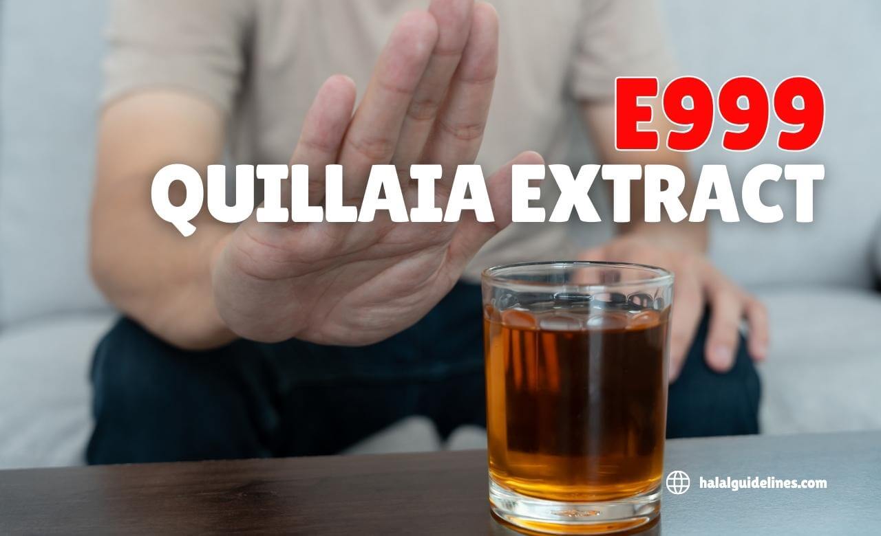 E999 Quillaia Extract haram e code