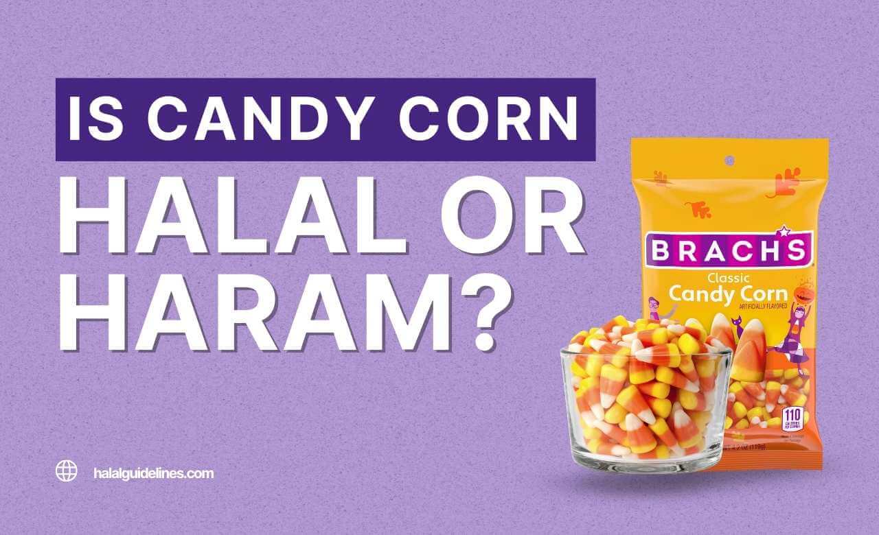 Is Brach’s Candy Corn Halal Or Haram
