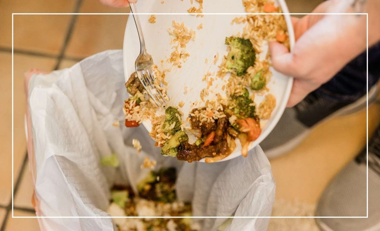 Thanksgiving Can Lead to Wasting Resources