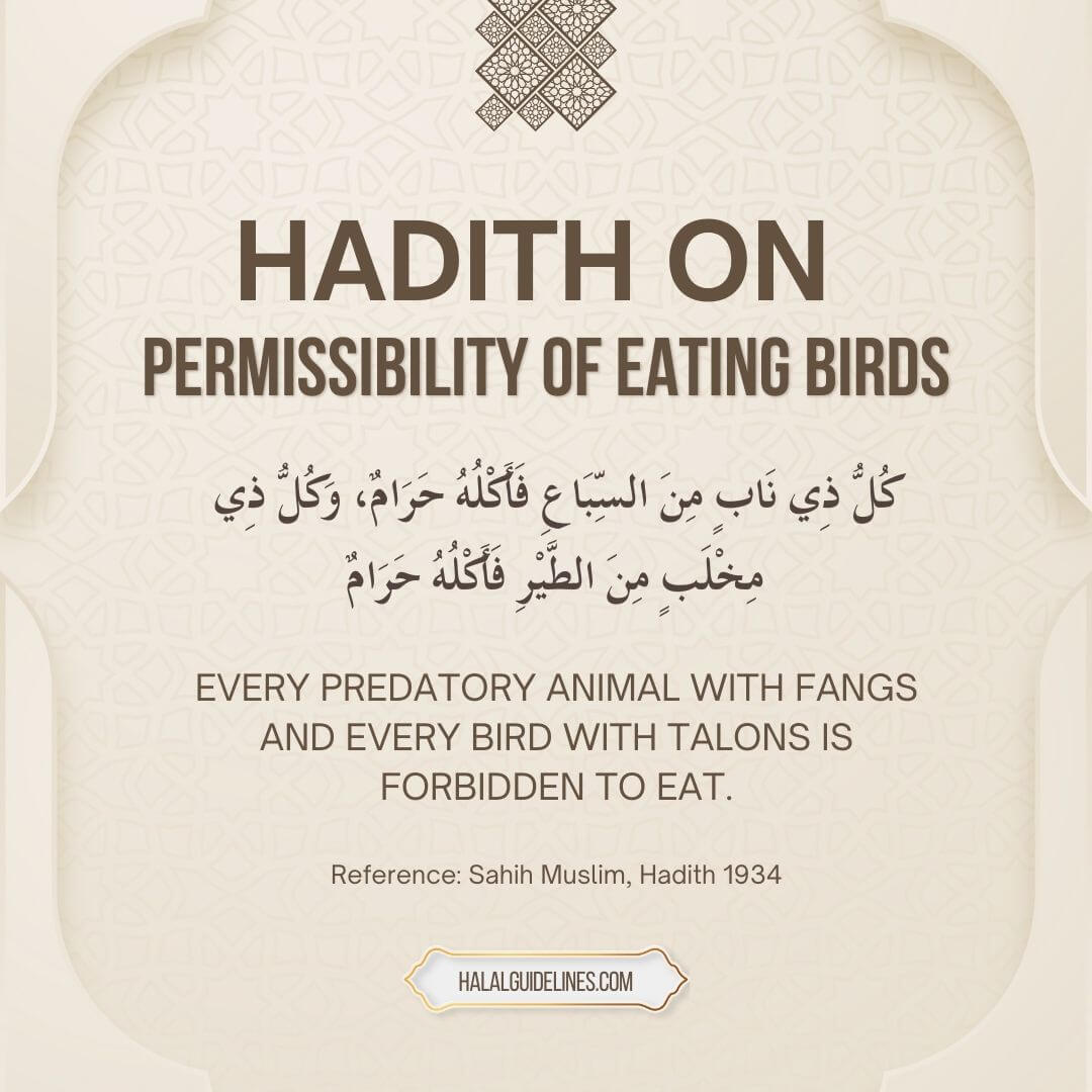 Hadith On Permissibility Of Eating Birds In Islam