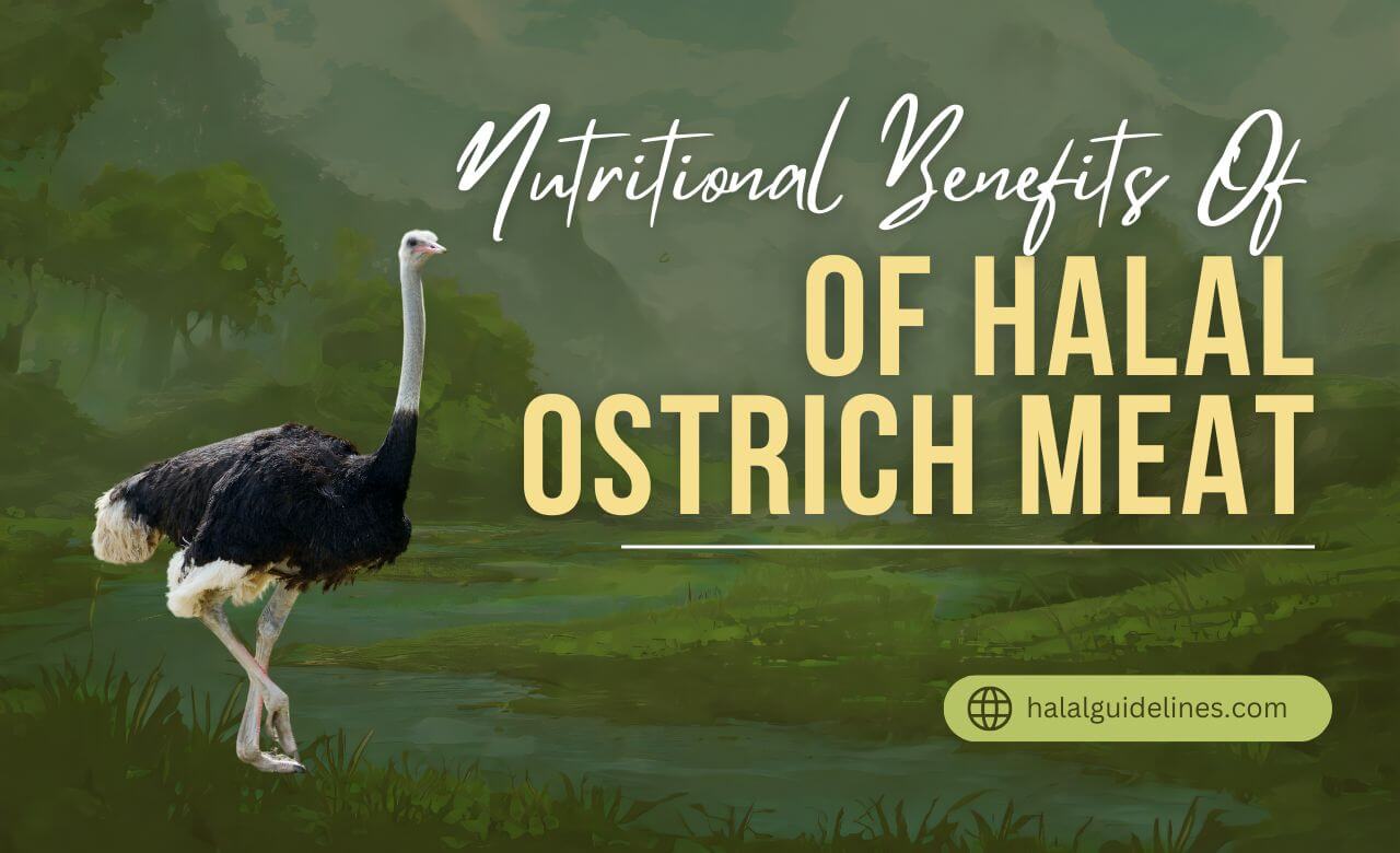 Nutritional Benefits of Halal Ostrich Meat