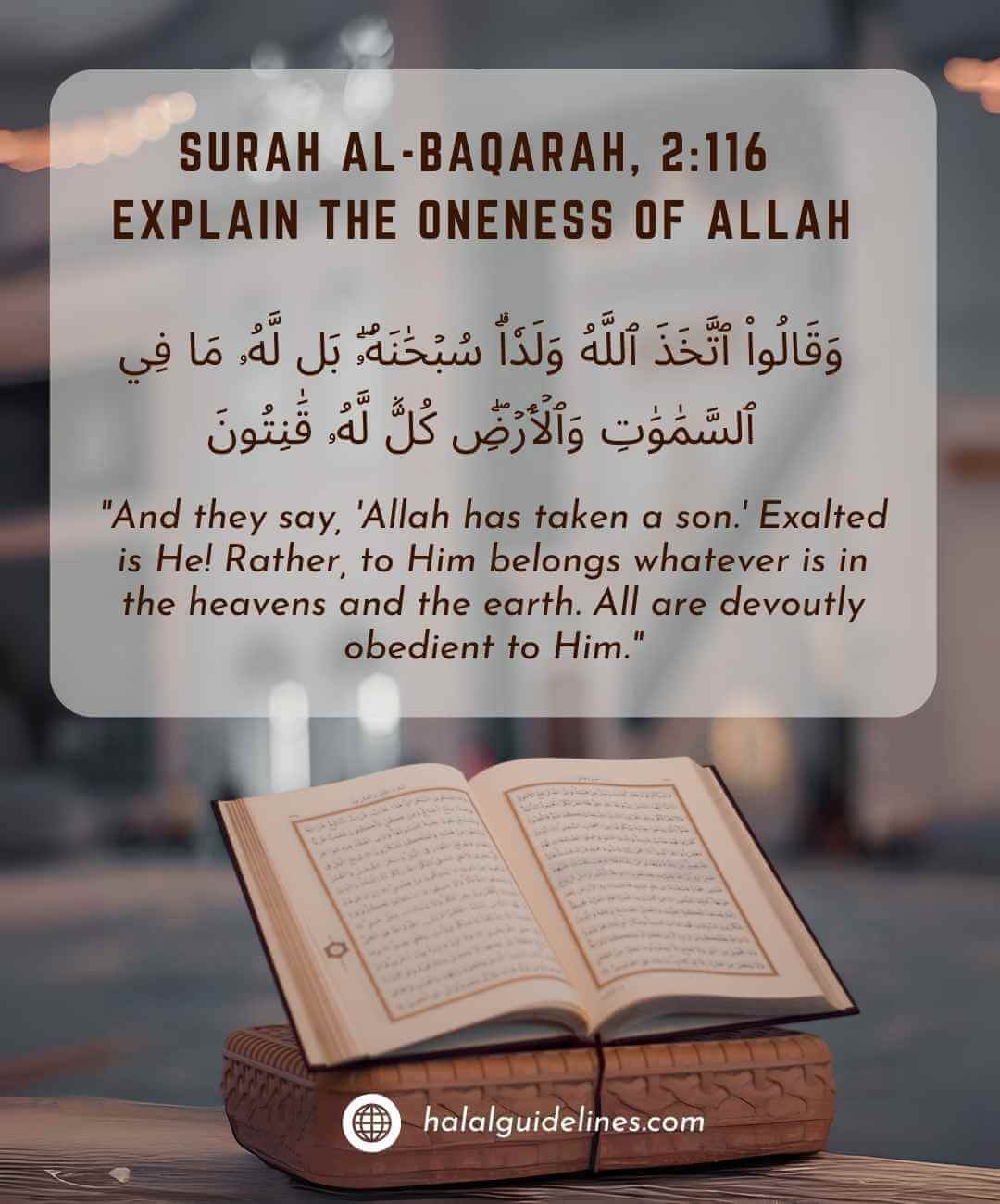 Quran verse about christmas and Explain the Oneness of Allah