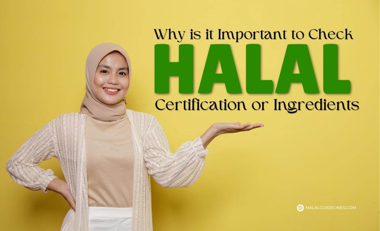 Why is it Important to Check Halal Certification or Ingredients in Islam