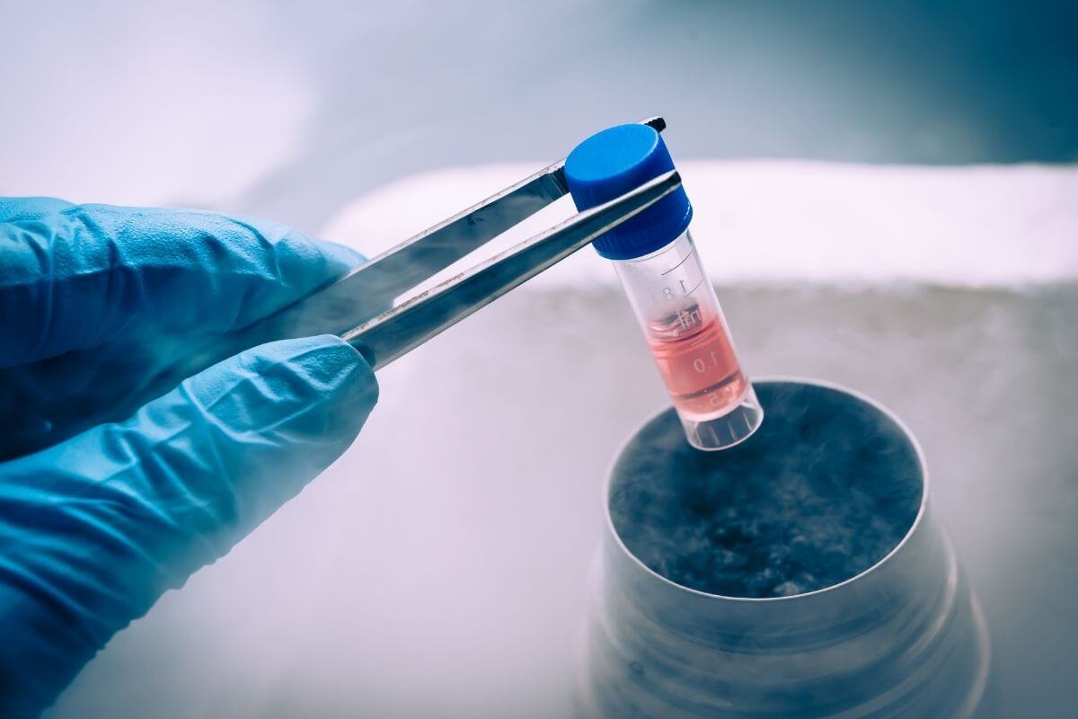 Stem Cells Haram Ingredients Cosmetics