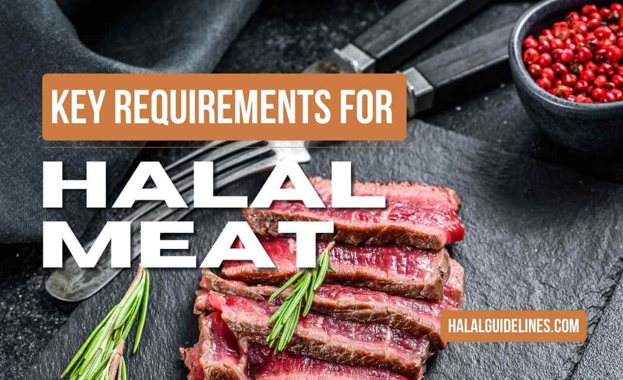 Key Requirements for Halal Meat Before You Eat
