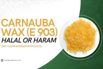 Is Carnauba Wax (E 903) Halal or Haram