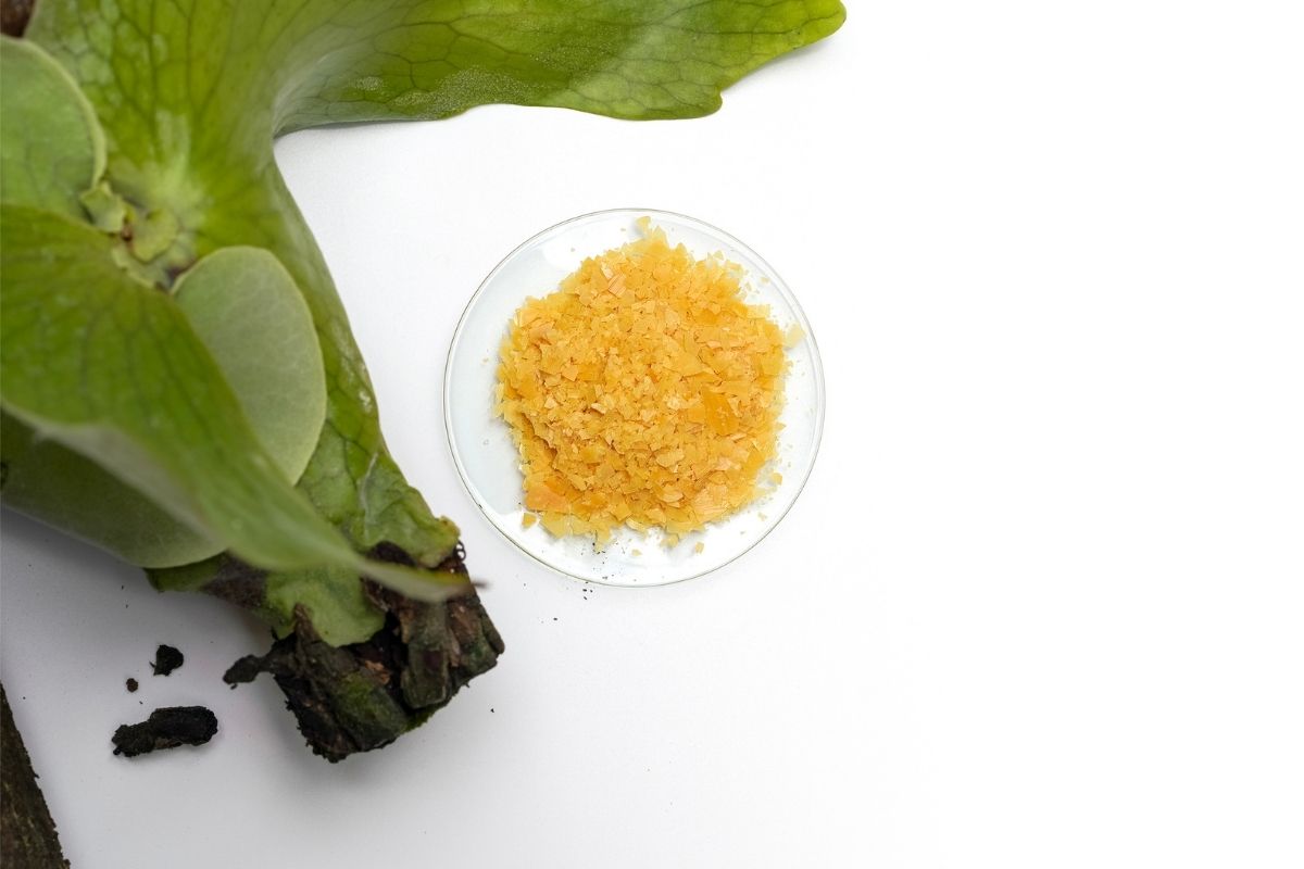 What is Carnauba Wax (E 903) and why it is halal
