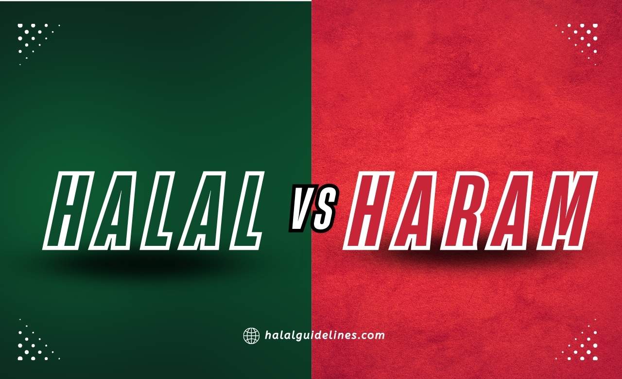 Halal Lifestyle Featured Image